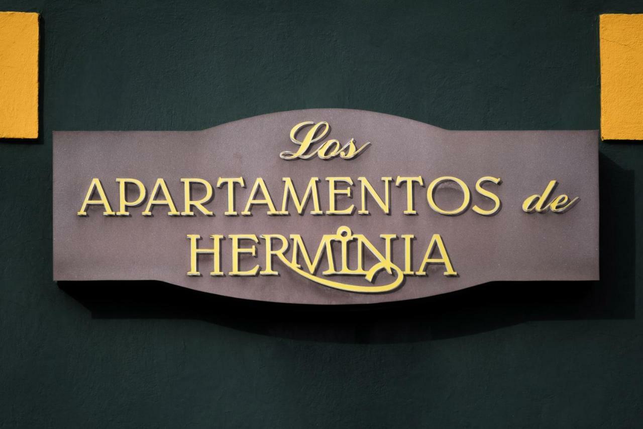 Apartamentos De Herminia Manzaneda  Exteriér fotografie