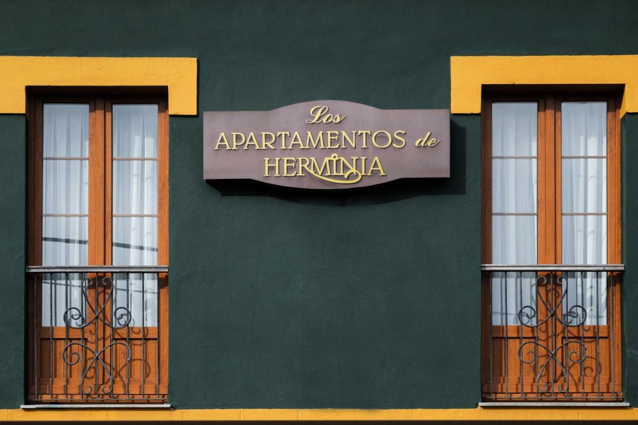 Apartamentos De Herminia Manzaneda  Exteriér fotografie